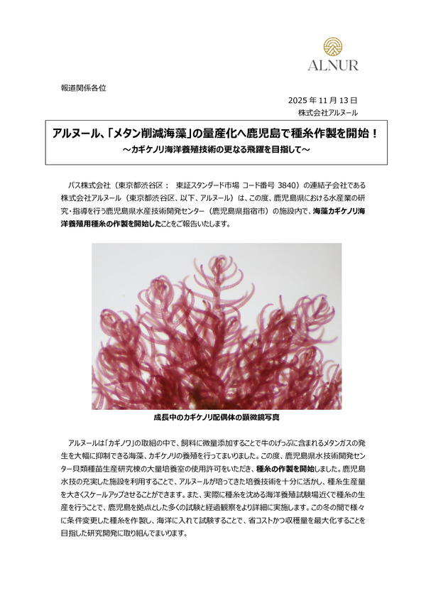 アルヌール、「メタン削減海藻」の量産化へ鹿児島で種糸作製を開始！ ～カギケノリ海洋養殖技術の更なる飛躍を目指して～のPDFサムネイル